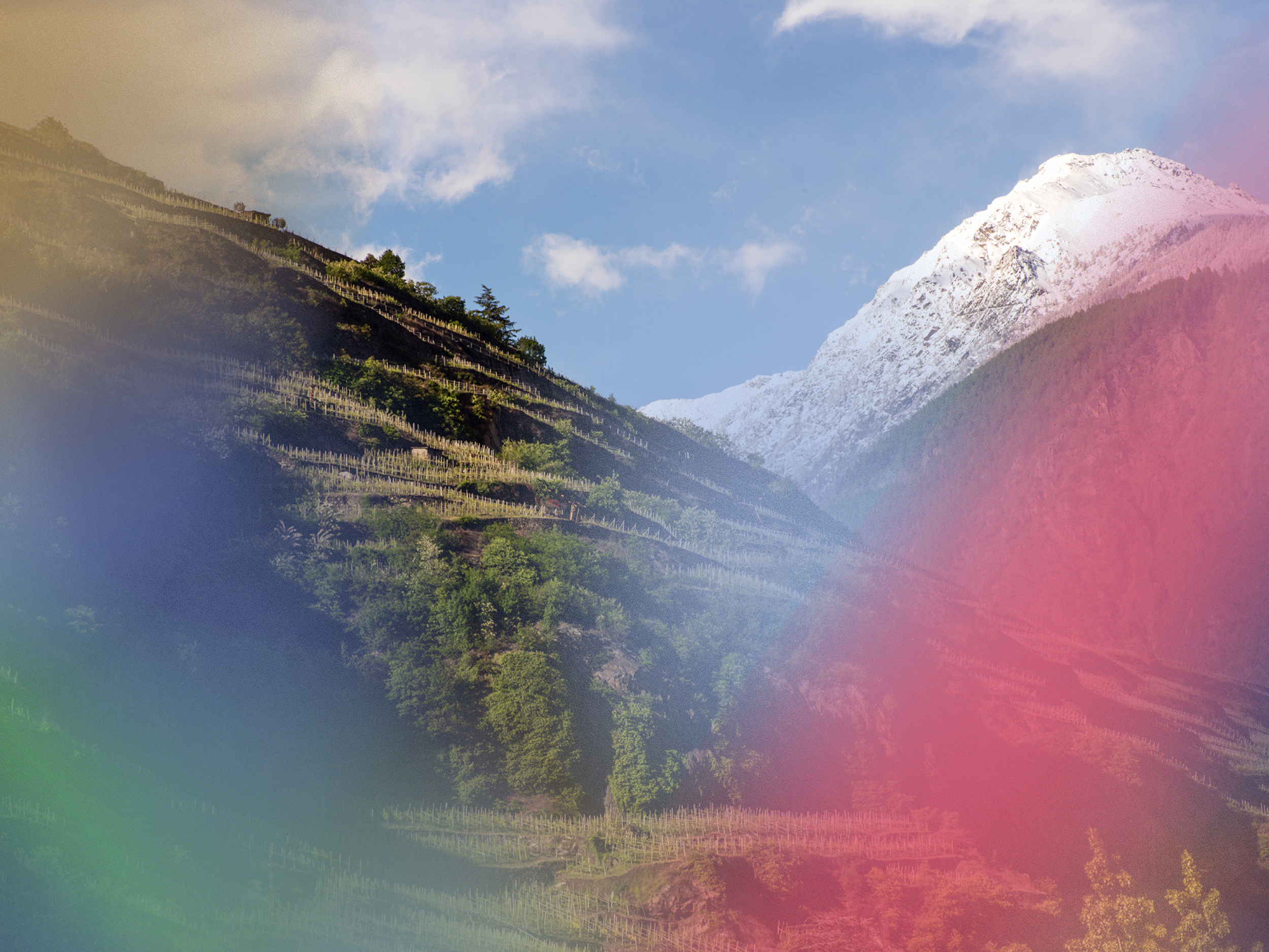 ViVa 2025 <br> 6-7-8 settembre, Sondrio