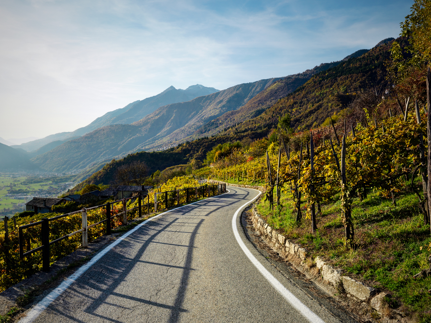 Valtellina Wine Road