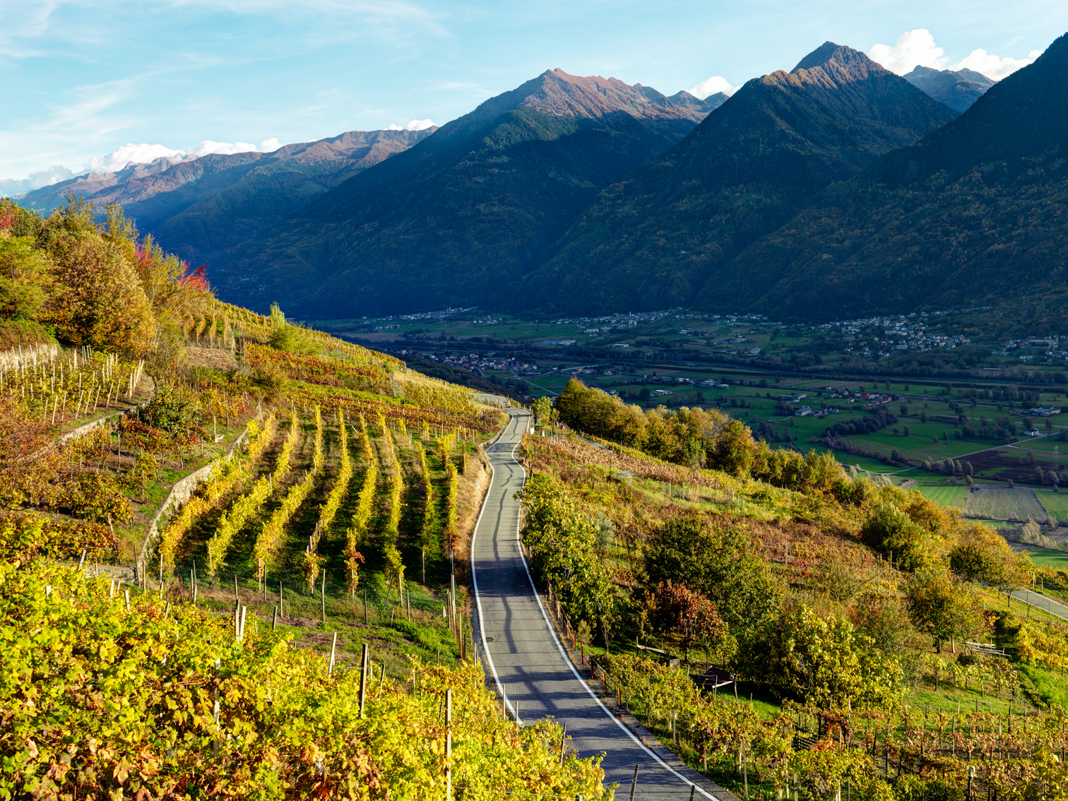 Strada del Vino Valtellina